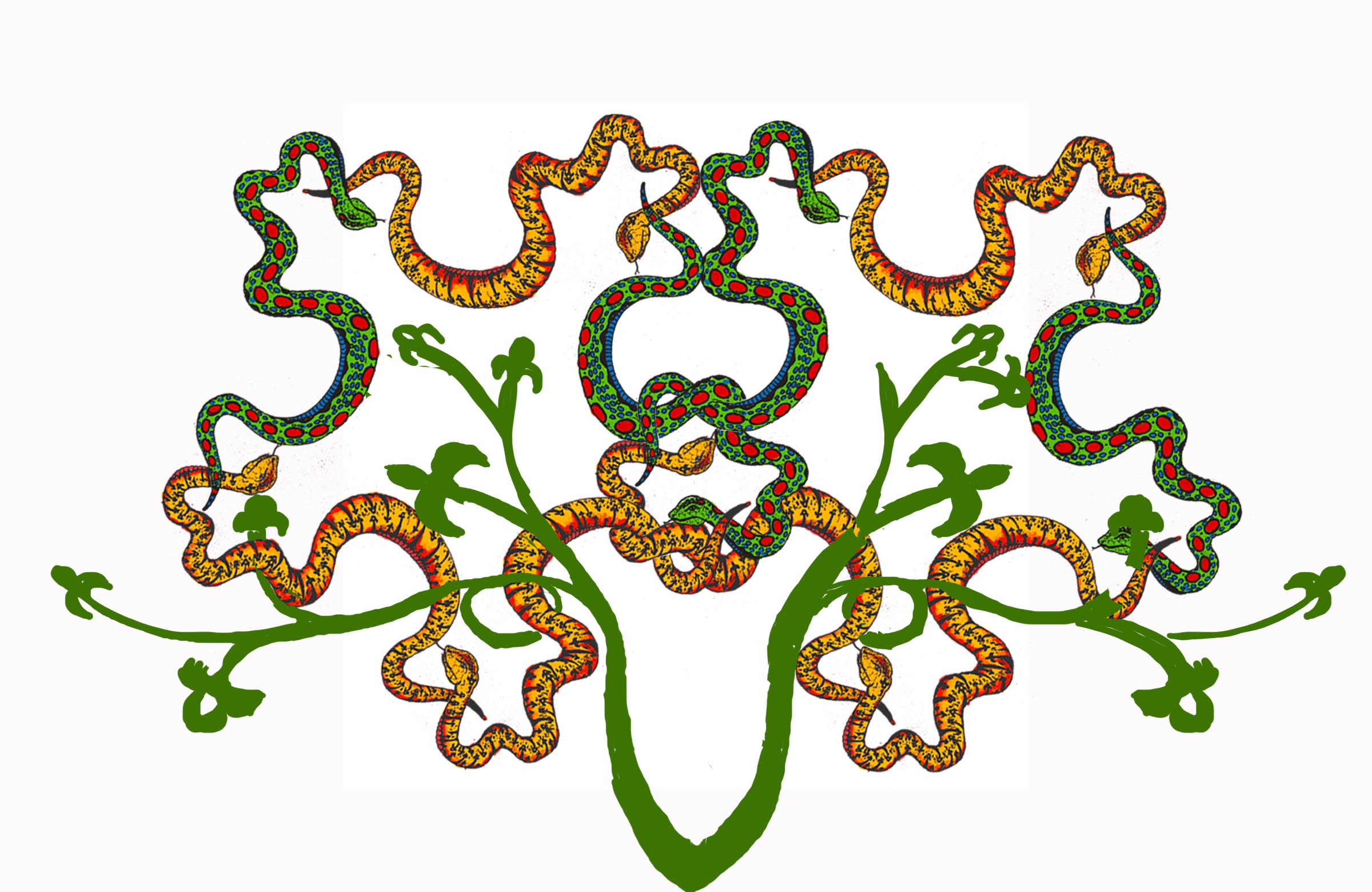 double snakes entwined 2