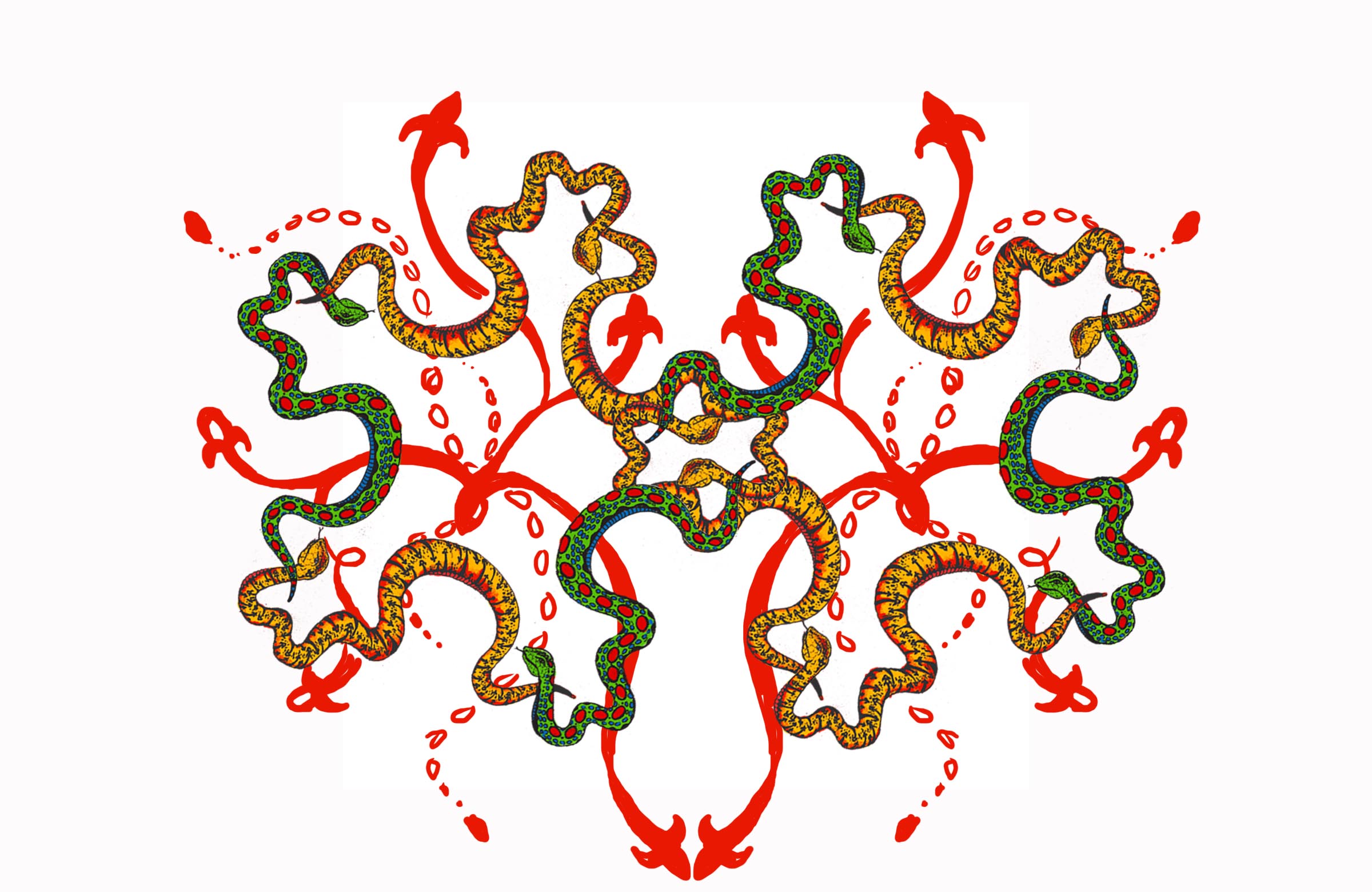double snakes entwined 4