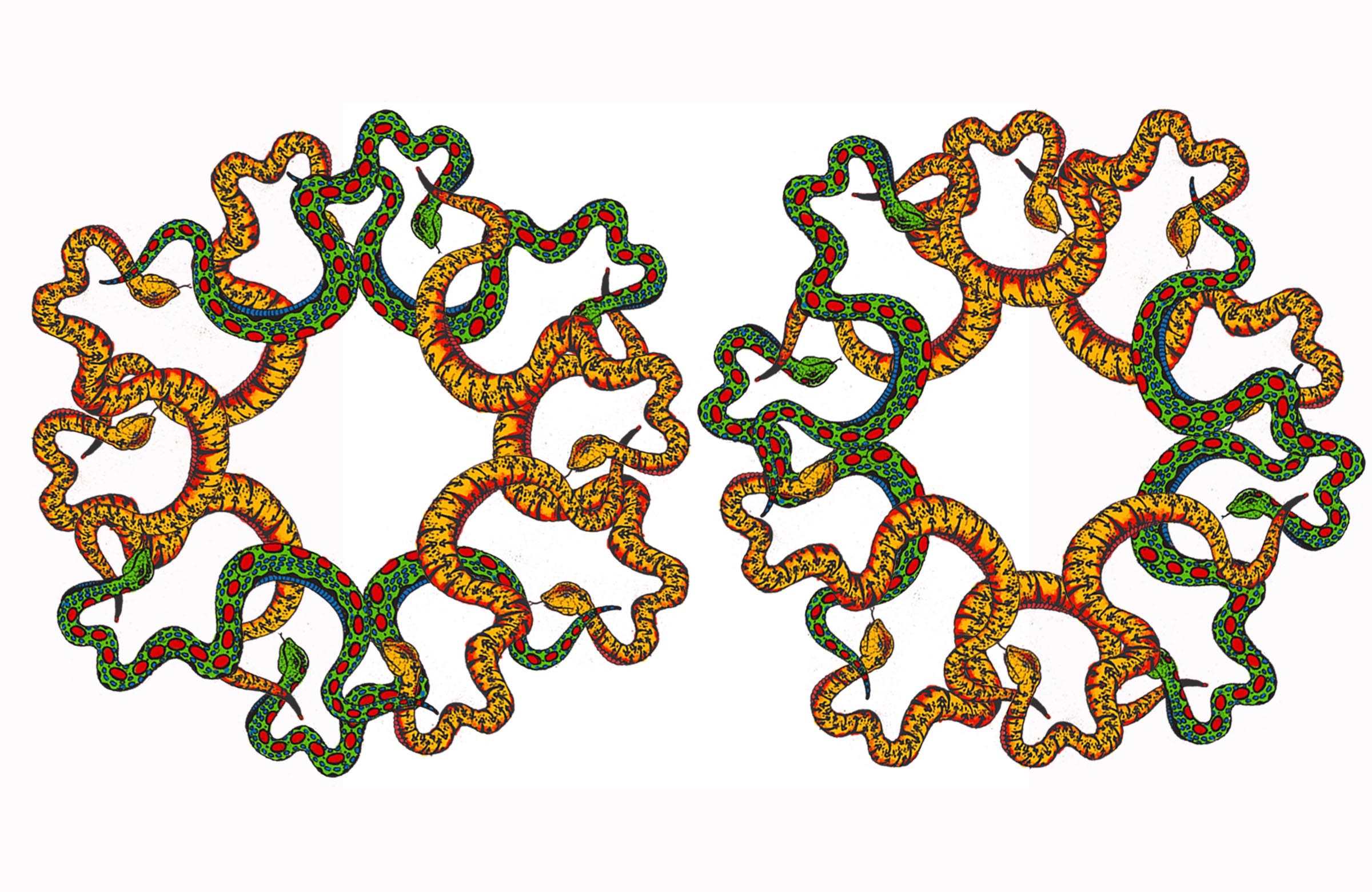 double snakes entwined snakes only 1