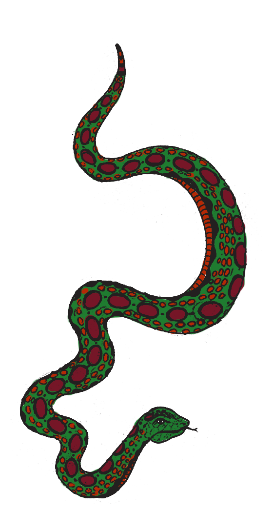 snake coloured green3