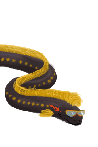 eel